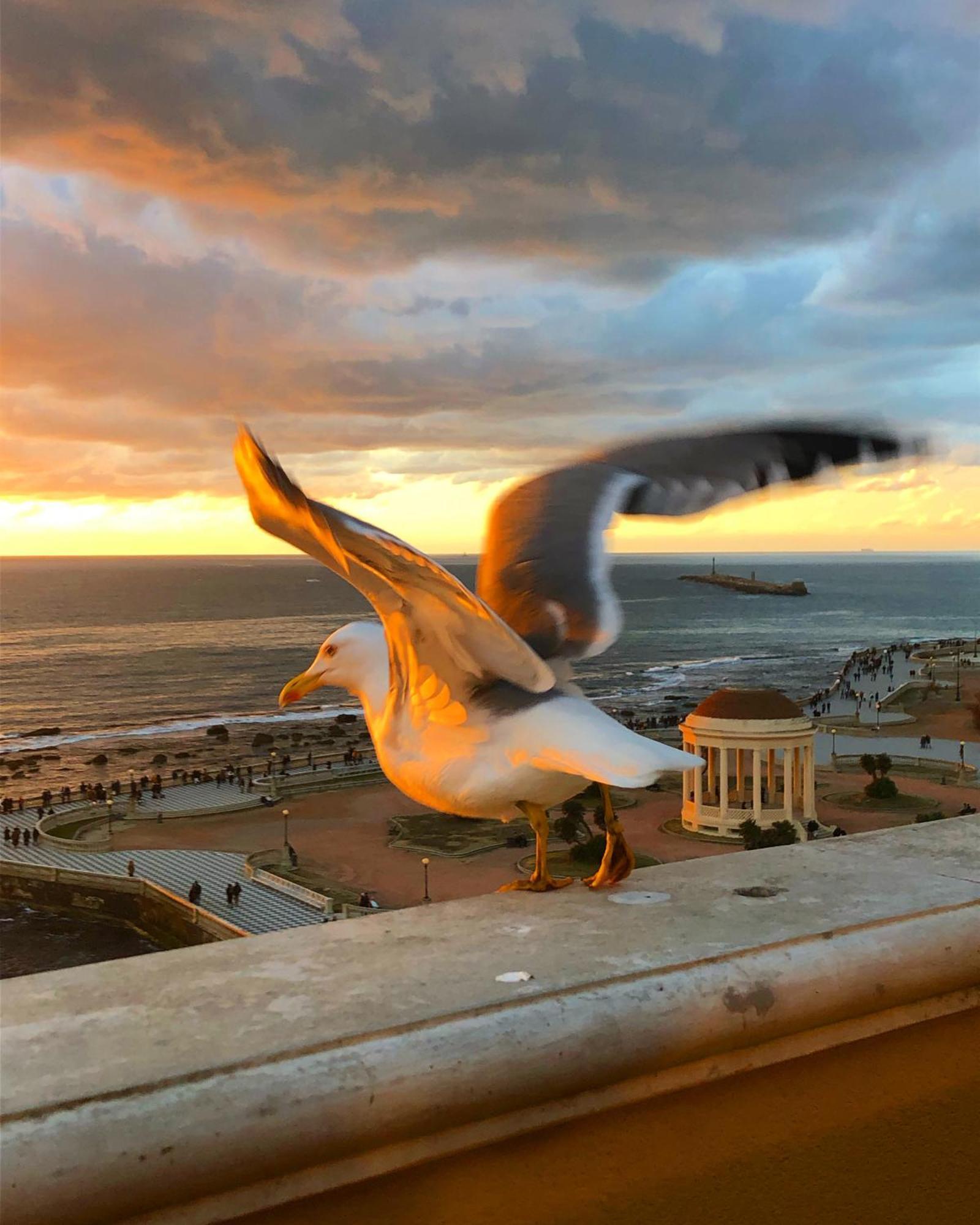 Livorno Apartment Bagian luar foto