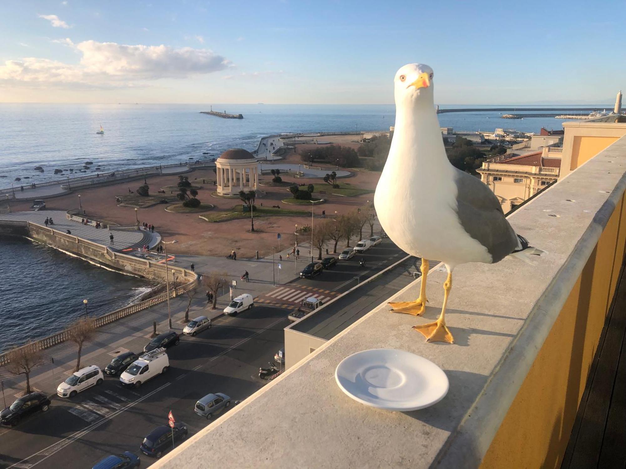 Livorno Apartment Bagian luar foto